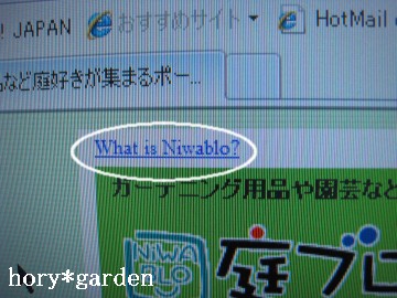 What is Niwablo?