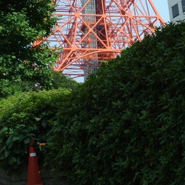 方向間違ったかと思った東京タワー