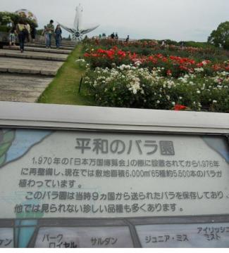 平和の薔薇記念公園