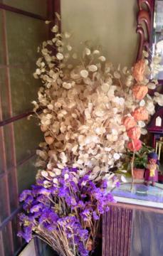 dried flower2