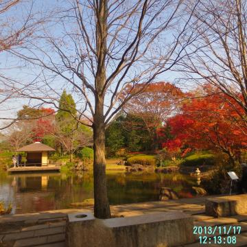 柏の葉公園日本庭園１
