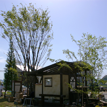 小屋の後ろ姿