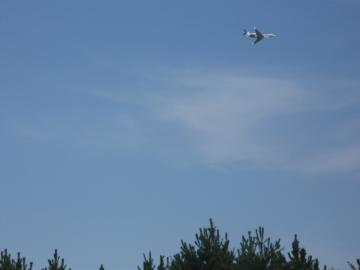 潮風公園飛行機