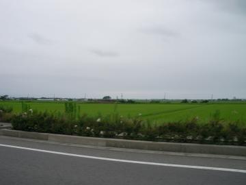 田んぼ風景