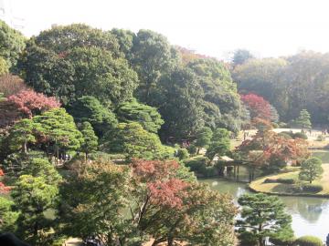 六義園紅葉