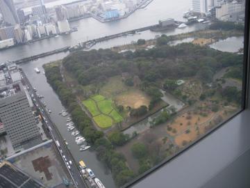 芝公園を下に