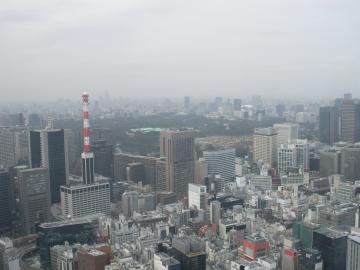 遠くに東京タワーを望む