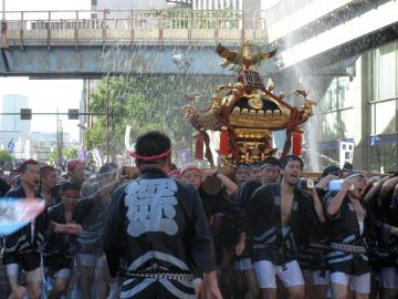 富岡八幡宮祭り神輿
