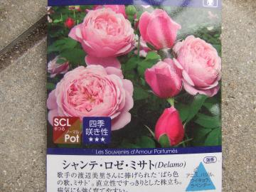 シャンテ・ロゼ・ミサト