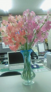 事務所のお花