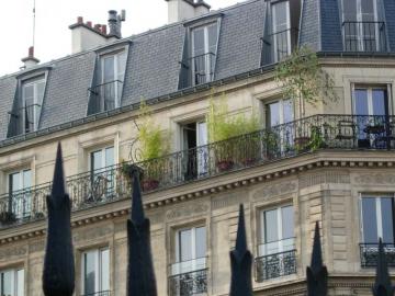 パリのベランダガーデン　笹のコンテナ