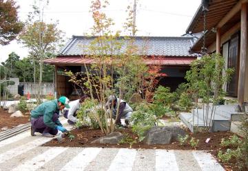 植栽中