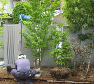 桜井　芝張り