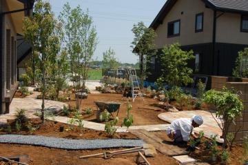 植栽中