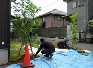 芝張り