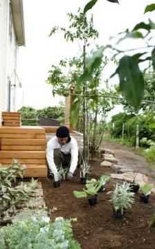 野上　植栽