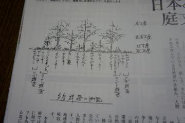 多層群落断面図