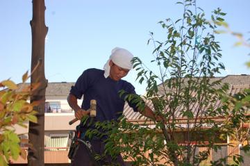 武谷　植栽