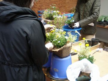 寄せ植え教室