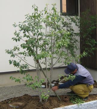 N様邸植栽