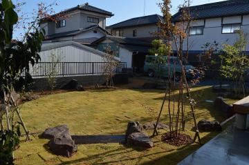 中庭の手入れ・雑草対策・自然芝・高麗芝