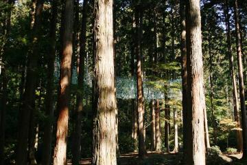 蜃気楼・樹海・パワースポット