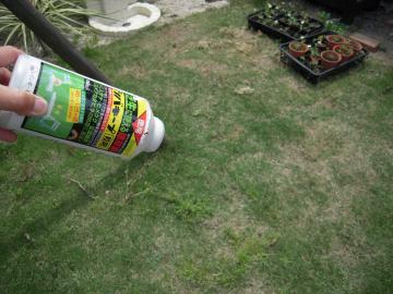 芝生の除草剤のまき方2