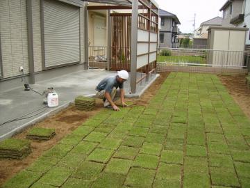 芝はり