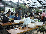 盆栽教室