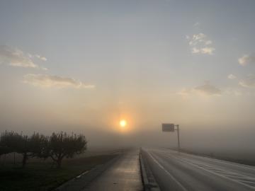 朝霧の太陽