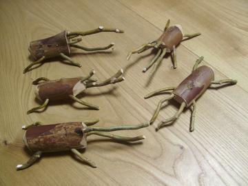 カブトムシとクワガタ