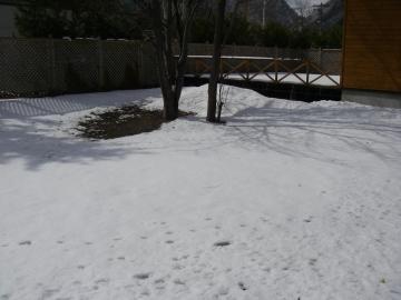 雪
