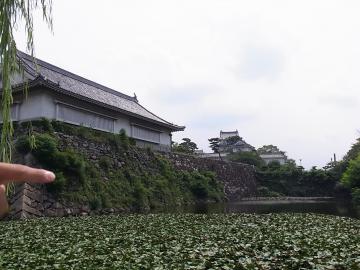 岸和田城「八陣の庭」　☆福島のエクステリア＆ガーデンは内池工業まで☆