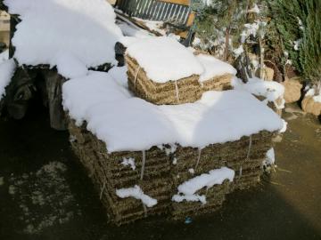 初雪！！　☆福島のエクステリア&ガーデンは内池工業まで☆