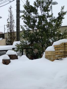 雪が・・・☆福島のエクステリア&ガーデンは内池工業まで☆
