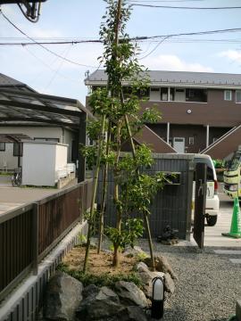 むしろこういうお庭が一番大好きかも・・・☆福島のエクステリア&ガーデンは内池工業まで☆
