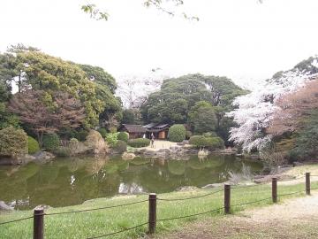 上野公園で花見　☆福島のエクステリア＆ガーデンは内池工業まで☆