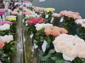 国際バラとガーデニングショーの一日　☆福島のエクステリア&ガーデンは内池工業まで☆