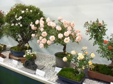 国際バラとガーデニングショー　☆福島のエクステリア&ガーデンは内池工業まで☆