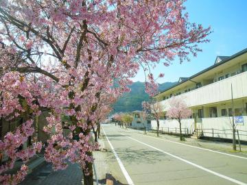 駅前通り