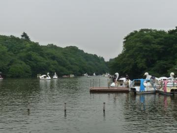 井の頭公園