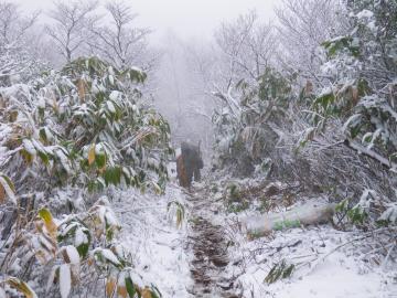 雪の中