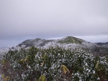 川上岳