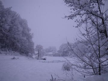 雪景色