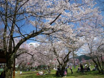 桜野公園