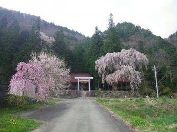 浅井　神明神社