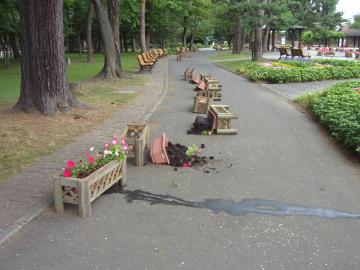 事件は公園で起こっている