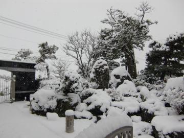 初雪