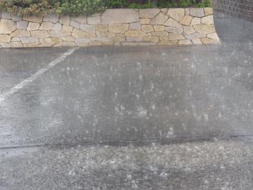 グリーン造園　瞬間豪雨