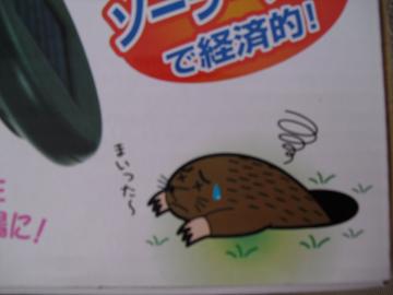 まいった～！！？